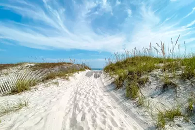29531 Perdido Beach Boulevard #1201, Orange Beach, AL 36561 - Photo 62
