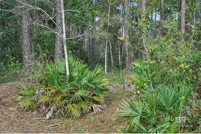 2535 Hinson Lane, Gulf Shores, AL 36542 - Photo 56