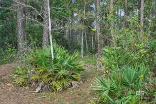 2535 Hinson Ln, Gulf Shores, AL 36542 - Photo 56