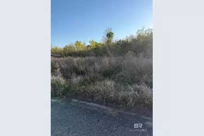 Lot 81 Troon Drive, Foley, AL 36535 - Photo 2