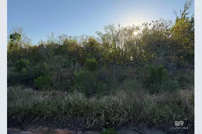Lot 82 Troon Drive, Foley, AL 36535 - Photo 2
