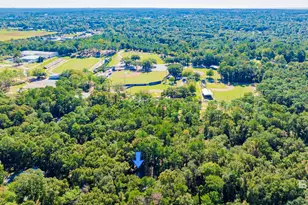 15 Woods Ave, Fairhope, AL 36532 - Photo 46