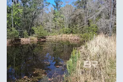 43053 State Highway 225, Bay Minette, AL 36507 - Photo 34