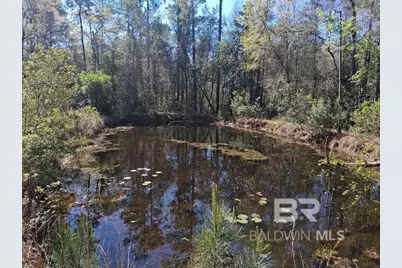 43053 State Highway 225, Bay Minette, AL 36507 - Photo 30