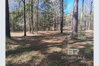 43053 State Highway 225, Bay Minette, AL 36507 - Photo 6