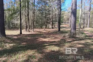 43053 State Hwy 225, Bay Minette, AL 36507 - Photo 6