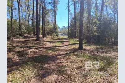 43053 State Highway 225, Bay Minette, AL 36507 - Photo 4