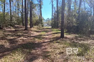 43053 State Hwy 225, Bay Minette, AL 36507 - Photo 4