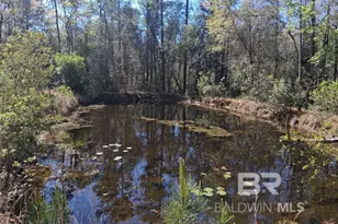 43053 State Hwy 225, Bay Minette, AL 36507 - Photo 30