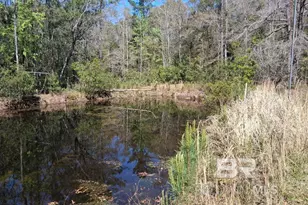 43053 State Hwy 225, Bay Minette, AL 36507 - Photo 34