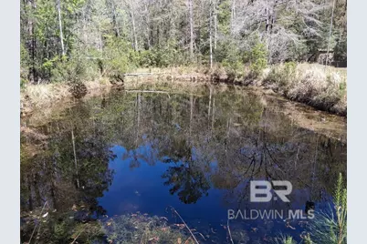 43053 State Highway 225, Bay Minette, AL 36507 - Photo 32