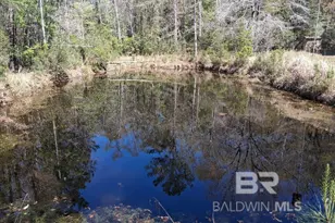 43053 State Hwy 225, Bay Minette, AL 36507 - Photo 32