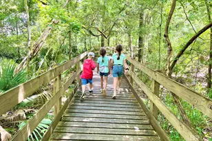 11475 Thistledown Loop, Spanish Fort, AL 36527 - Photo 24