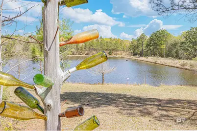 48248 Chastang Lake Road, Bay Minette, AL 36507 - Photo 64