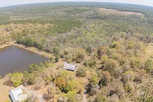 48248 Chastang Lake Rd, Bay Minette, AL 36507 - Photo 78