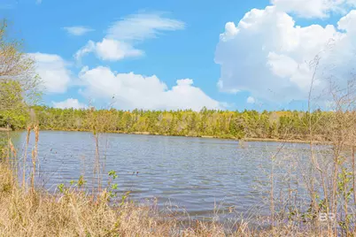 48248 Chastang Lake Road, Bay Minette, AL 36507 - Photo 66
