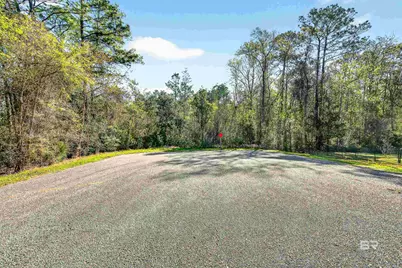 0 Woodland Acres Lane, Loxley, AL 36551 - Photo 4