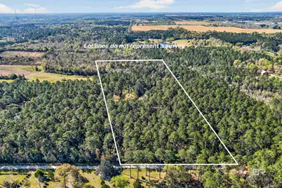 0 Woodland Acres Lane, Loxley, AL 36551 - Photo 2