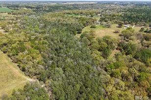 11100 Rhett McConnell Rd, Theodore, AL 36582 - Photo 44