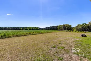 11369 Genuine Risk Cir, Daphne, AL 36526 - Photo 32