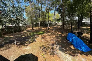 2581 Spanish Cove Dr, Lillian, AL 36549 - Photo 56