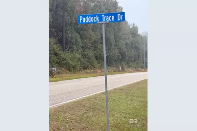 9720 Paddock Trace Drive, Foley, AL 36535 - Photo 92