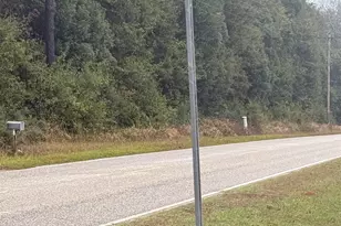 9720 Paddock Trce Dr, Foley, AL 36535 - Photo 92