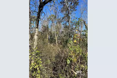 804 Cee Bee Street, Robertsdale, AL 36567 - Photo 2