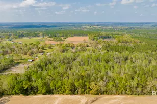 22728 Wing Ln, Robertsdale, AL 36567 - Photo 34