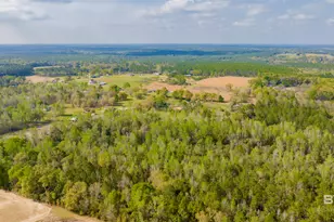 22728 Wing Ln, Robertsdale, AL 36567 - Photo 14