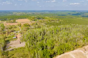 22728 Wing Ln, Robertsdale, AL 36567 - Photo 16