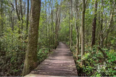 24711 County Road 20 #A11, Elberta, AL 36530 - Photo 28