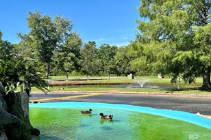 6194 St Hwy 59, Gulf Shores, AL 36542 - Photo 34