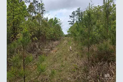 11631 Red Hill Rd Extension, Bay Minette, AL 36507 - Photo 14