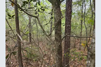12287 Red Hill Rd Extension, Bay Minette, AL 36507 - Photo 1