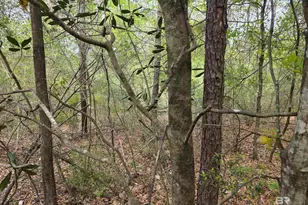 12287 Red Hill Rd Ext, Bay Minette, AL 36507 - Photo 1