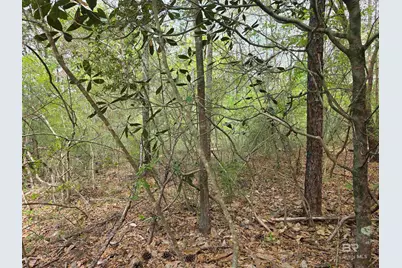 12287 Red Hill Rd Extension, Bay Minette, AL 36507 - Photo 2