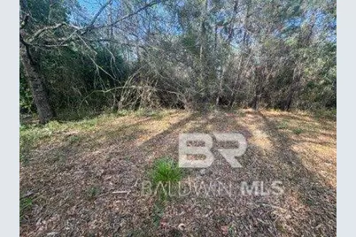 0 Delta Woods Drive, Bay Minette, AL 36507 - Photo 4