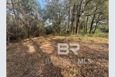 0 Delta Woods Drive, Bay Minette, AL 36507 - Photo 6