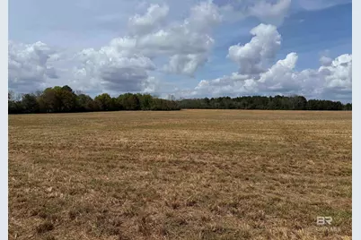 00 Green Road, Jay, FL 32531 - Photo 8