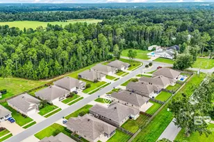 917 Ruisseau Dr, Foley, AL 36535 - Photo 46