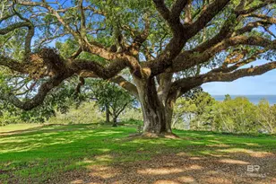 204 N Bayview St, Fairhope, AL 36532 - Photo 14