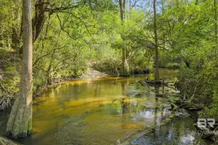 22800 River Rd, Daphne, AL 36526 - Photo 6