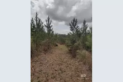 0 Phillipsville Road, Bay Minette, AL 36507 - Photo 4