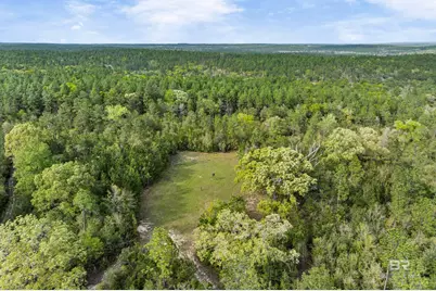 7150 Powell Road #Lot 6A, Eight Mile, AL 36613 - Photo 34