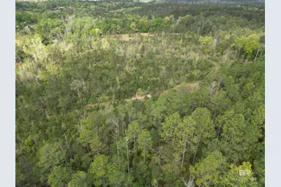 8200 Blk Grimes Road, Century, FL 32535 - Photo 6