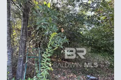 0 Batre Lane, Mobile, AL 36608 - Photo 4