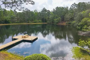 3175 Dawes Lake Rd, Mobile, AL 36619 - Photo 92