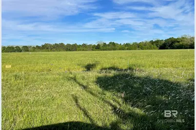 14030 Joe Norris Lane, Foley, AL 36535 - Photo 4