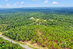 8455 Hooks Rd, Bay Minette, AL 36507 - Photo 70